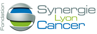 logo Fondation Synergie Lyon Cancer